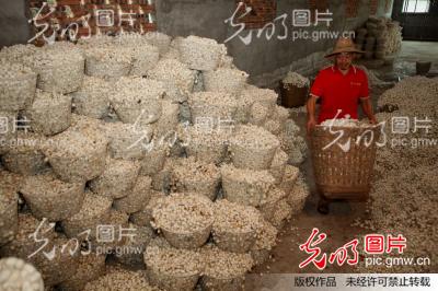 �Ĵ���(n��i)�����O����