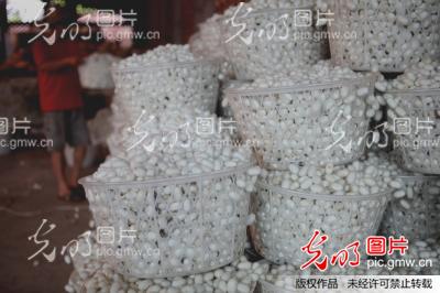 �Ĵ���(n��i)�����O����