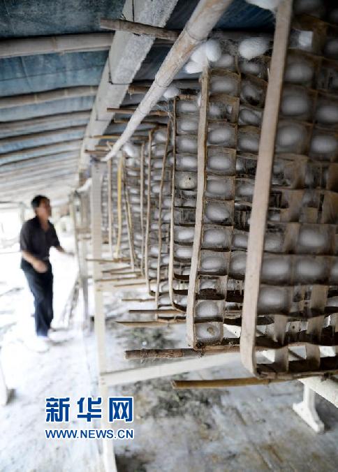 #���r�I(y��)����3��ɽ�|���Qɣ֮�l(xi��ng)���Q�O�S��