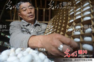 �Ĵ���(n��i)�����O����