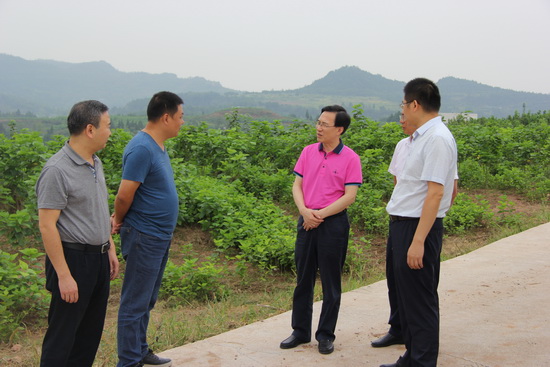 1 012_調(diào)整大小.jpg