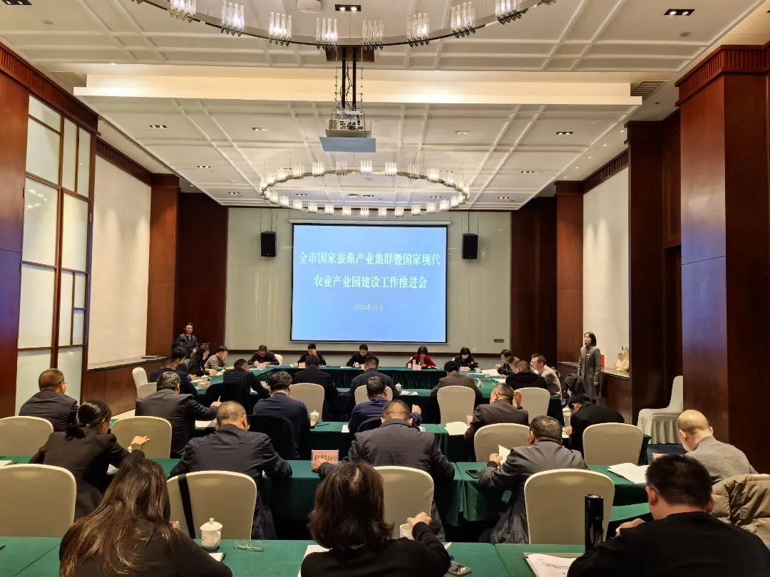 W020241129345465454551 (1).jpg